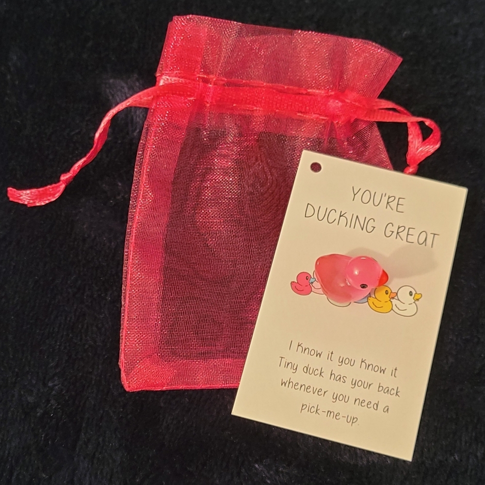 Pocket Hug Pink Duck